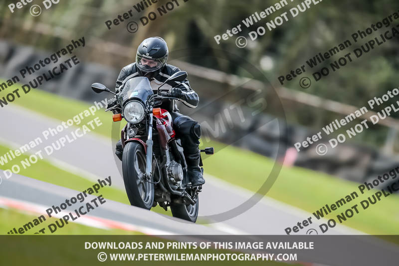 Oulton Park 21st March 2020;PJ Motorsport Photography 2020;anglesey;brands hatch;cadwell park;croft;donington park;enduro digital images;event digital images;eventdigitalimages;mallory;no limits;oulton park;peter wileman photography;racing digital images;silverstone;snetterton;trackday digital images;trackday photos;vmcc banbury run;welsh 2 day enduro